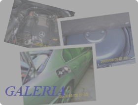 Galeria